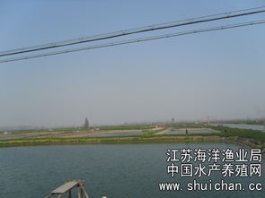 江苏兴化市建设优质水产品繁育生产示范基地