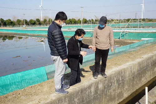 抗疫情保生产 江苏苏州市水产技术推广部门一直在路上