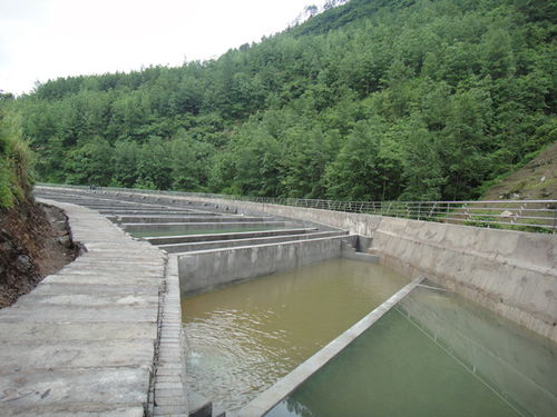 重庆石柱最大的冷水鱼流水养殖场建成投产