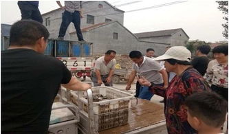 山东菏泽郓城县水产服务中心积极调整渔业产业结构