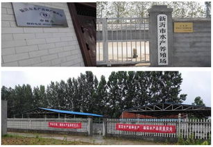 新沂市水产养殖场建立江苏省第一家水产苗种产地检疫申报点